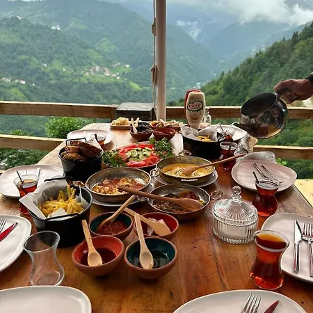 Arvilla Çamlıhemşin