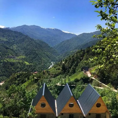 Arvilla